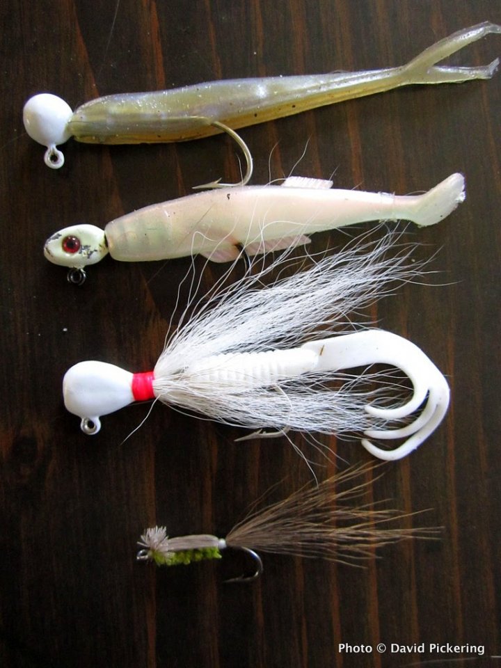 These baits are recommended for striper fishing