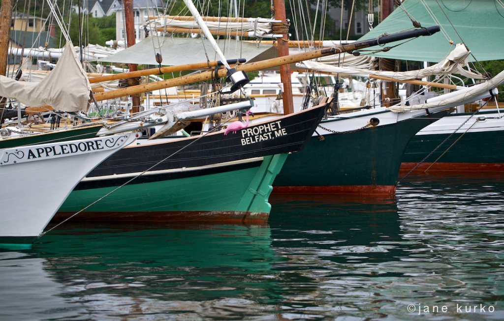 Sunday Morning at the Camden Windjammer Festival US Harbors