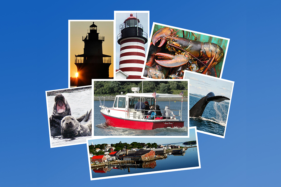 downeast-charter-boat-tours-me-us-harbors