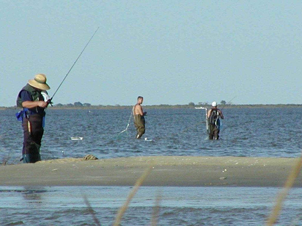 Gulf Coast Fishing Report Week of Sept 5th, 2019 | US Harbors