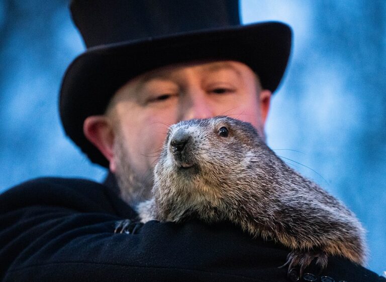 Who is Punxsutawney Phil and the Ancient Story of Groundhog Day?