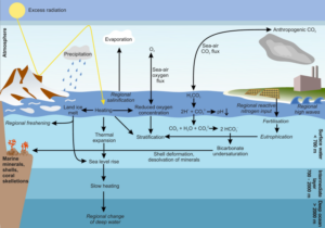 State Of Oceans: Impact Of Climate Change | US Harbors