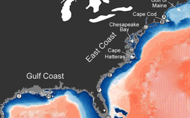 A depiction of the Advanced Circulation Model used for NOAA's Coastal Ocean Reanalysis. The gray box shows the focus region of the assessment — the U.S. East Coast, Gulf of Mexico, and Carribean Sea. Credit: Cooperative Institute for Marine and Atmospheric Research, School of Ocean and Earth Science and Technology, University of Hawai’i at Mānoa.