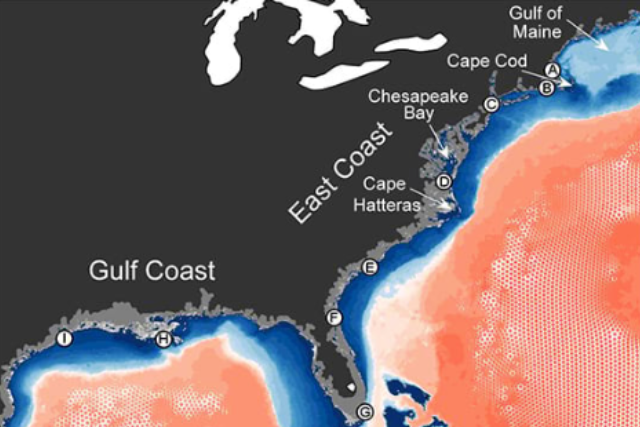 A depiction of the Advanced Circulation Model used for NOAA's Coastal Ocean Reanalysis. The gray box shows the focus region of the assessment — the U.S. East Coast, Gulf of Mexico, and Carribean Sea. Credit: Cooperative Institute for Marine and Atmospheric Research, School of Ocean and Earth Science and Technology, University of Hawai’i at Mānoa.